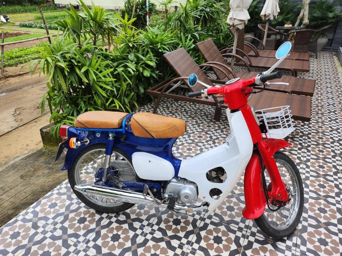La Maison D'Indochine Hoi An Eksteriør bilde