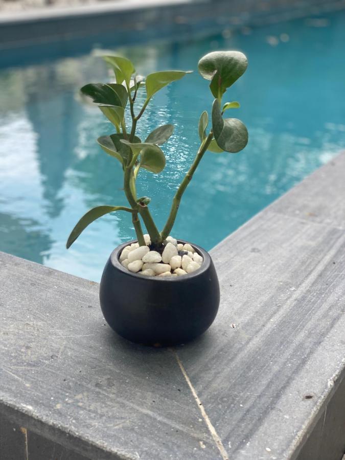 La Maison D'Indochine Hoi An Eksteriør bilde