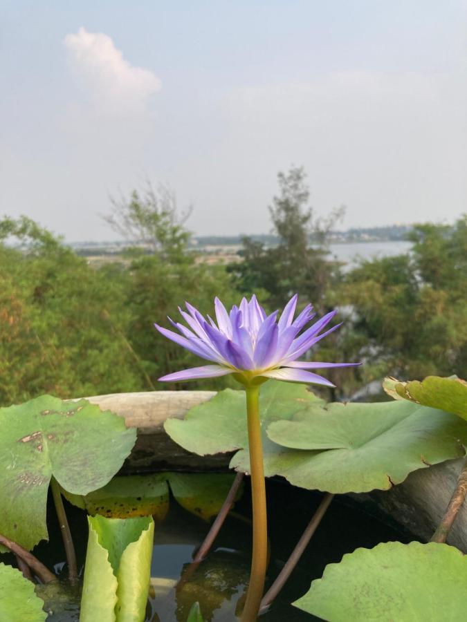 La Maison D'Indochine Hoi An Eksteriør bilde