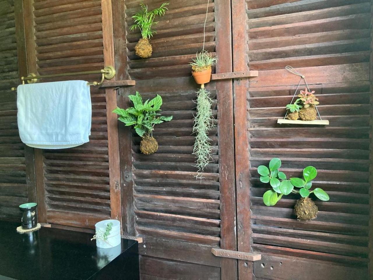 La Maison D'Indochine Hoi An Eksteriør bilde
